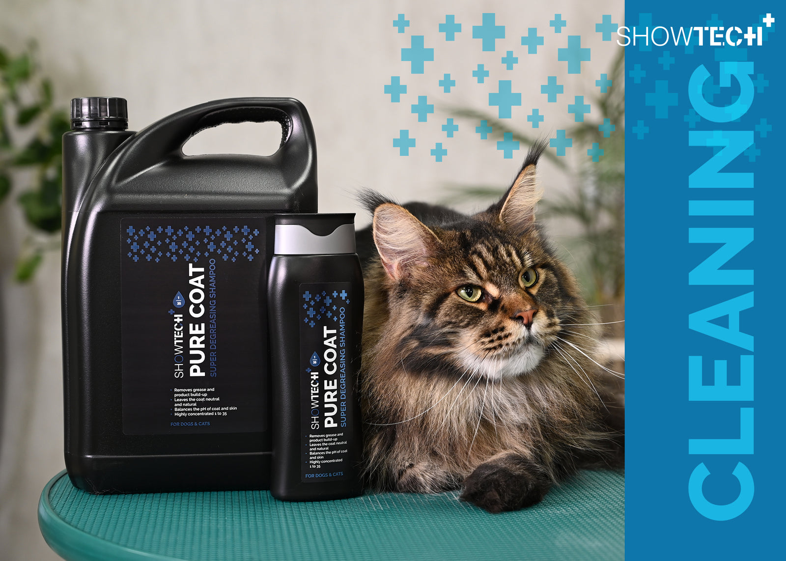 Show Tech+ Pure Coat Degreasing Shampoo 1:35 dilution
