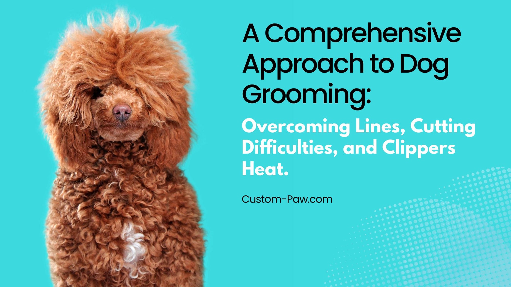 A Comprehensive Approach to Dog Grooming: Overcoming Lines, Cutting Difficulties, and Clippers Heat.