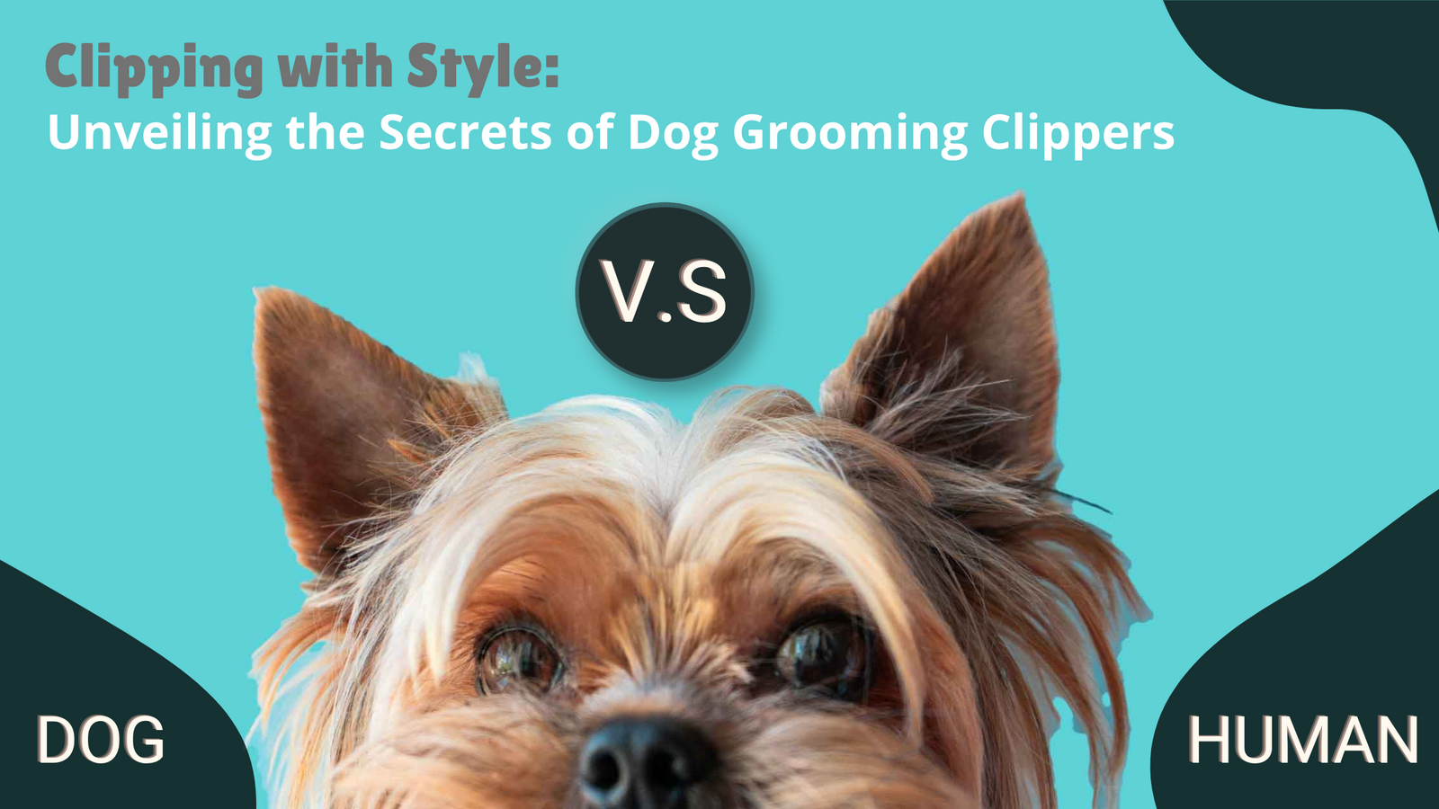 Is There A Difference Between Dog And Human Clippers