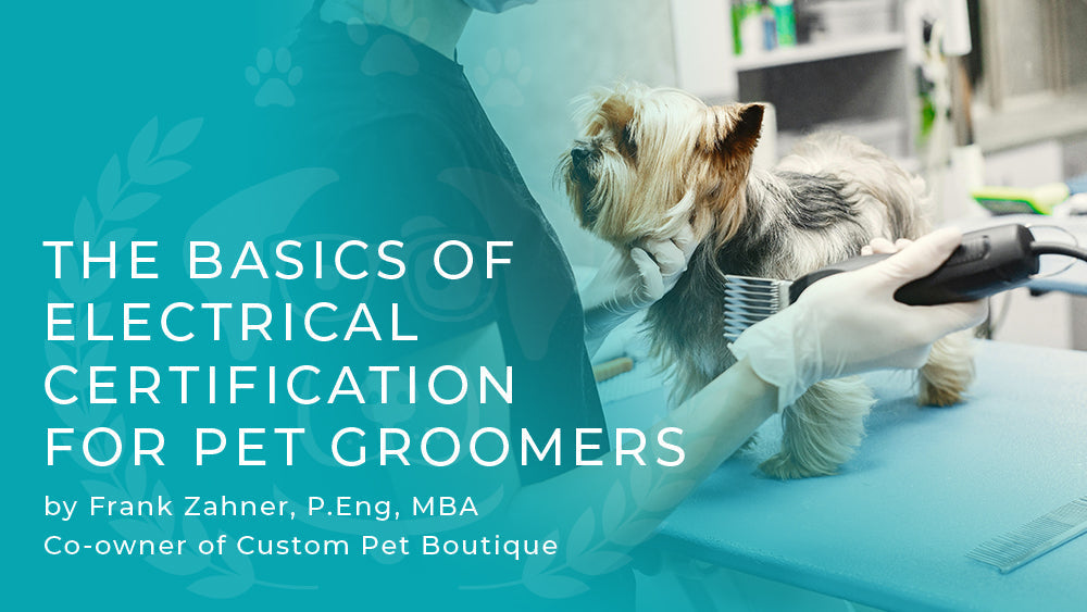 Grooming Safely: Understanding Electrical Certification in the Pet Industry