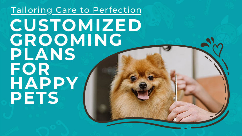 Customized Grooming Plans for Happy Pets: Tailoring Care to Perfection