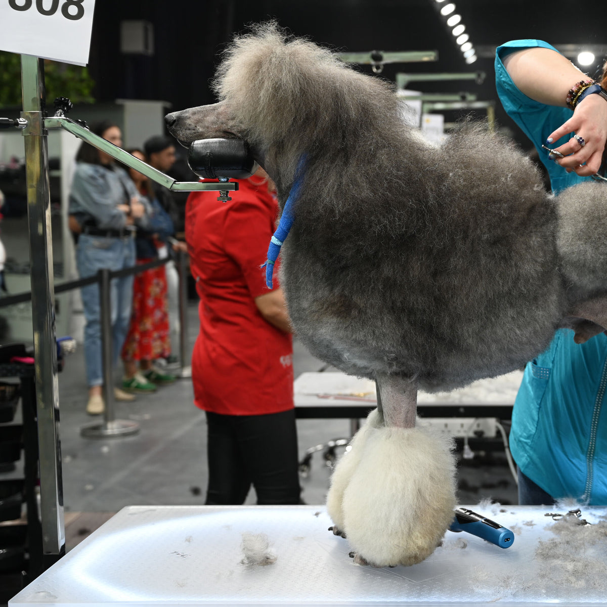 Groom-X Pro Comfort Chin Rest