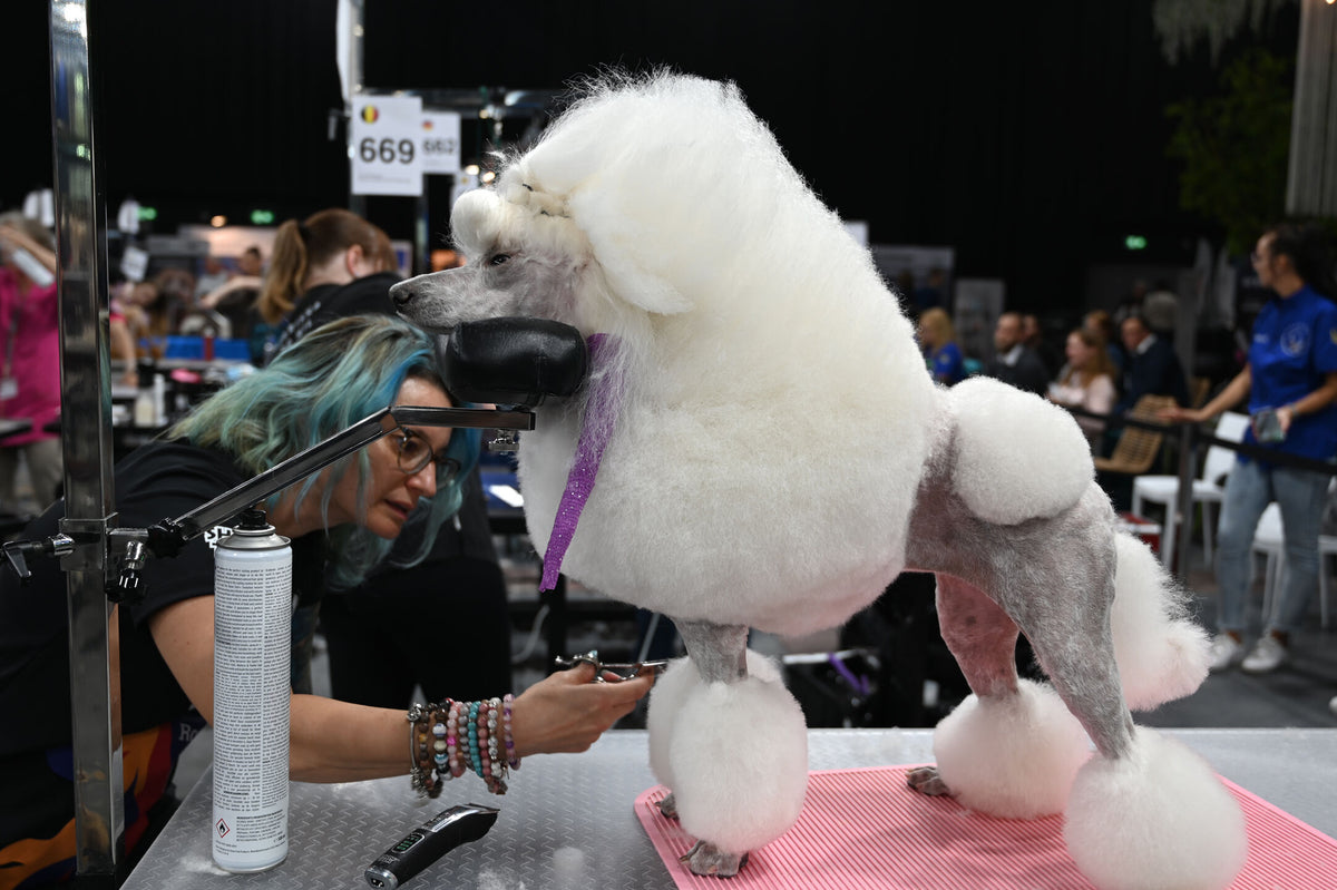 Groom-X Pro Comfort Chin Rest