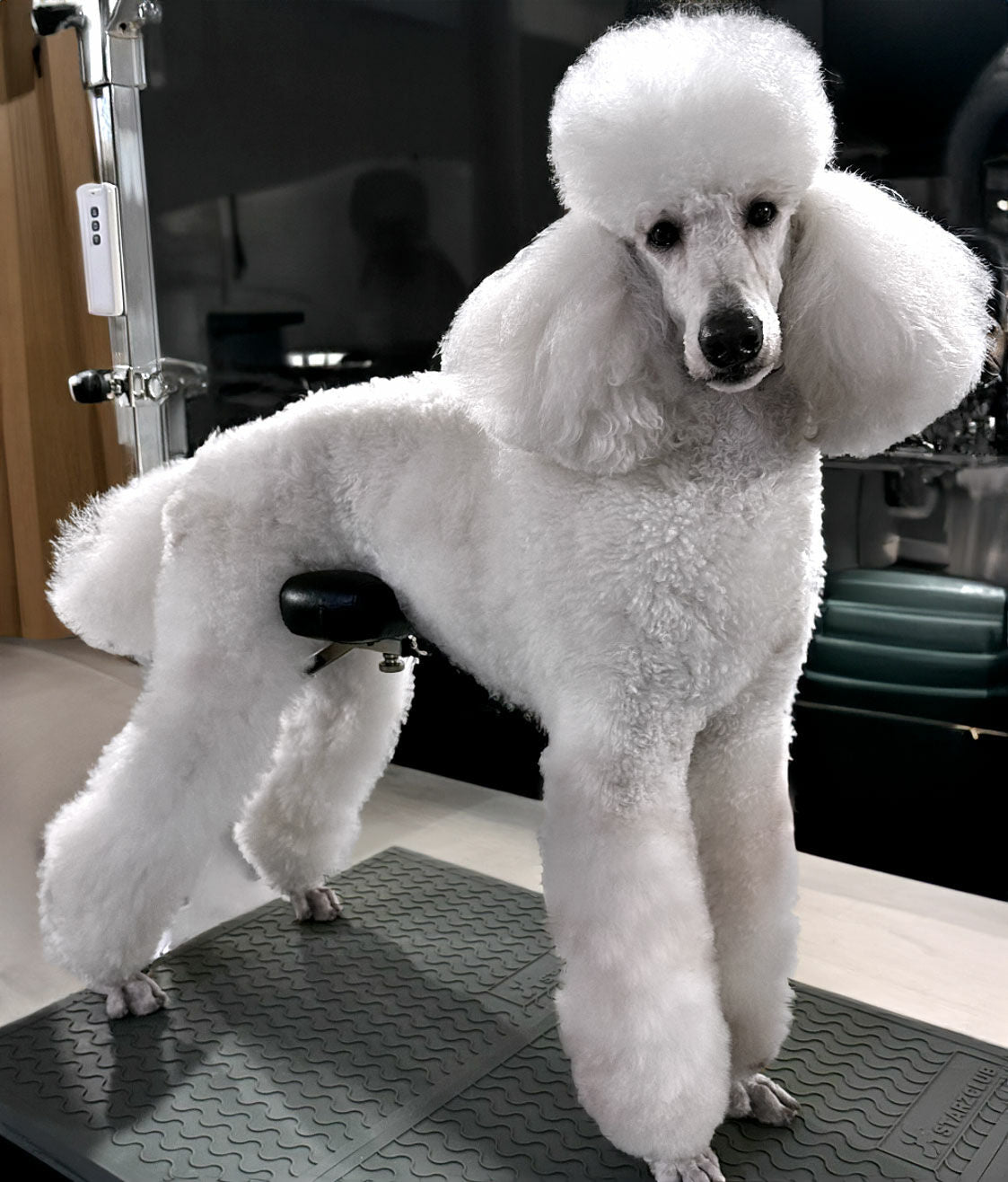 Groom-X Pro Comfort Chin Rest