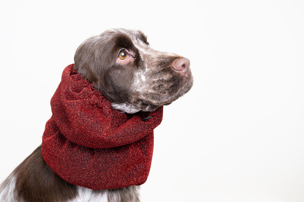 Show Tech Snood Luxe Royal &amp; Galaxy Ear Covers