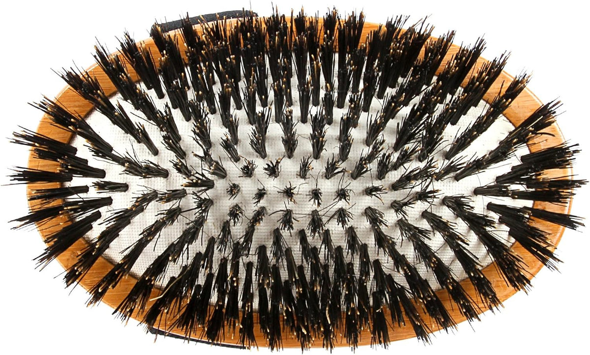 Shine & Condition Pet Brush