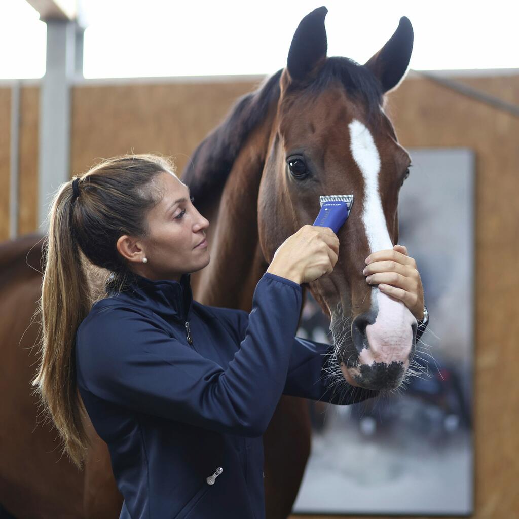 Aesculap Durati Horse Clipper: Precision and Comfort in Grooming ...