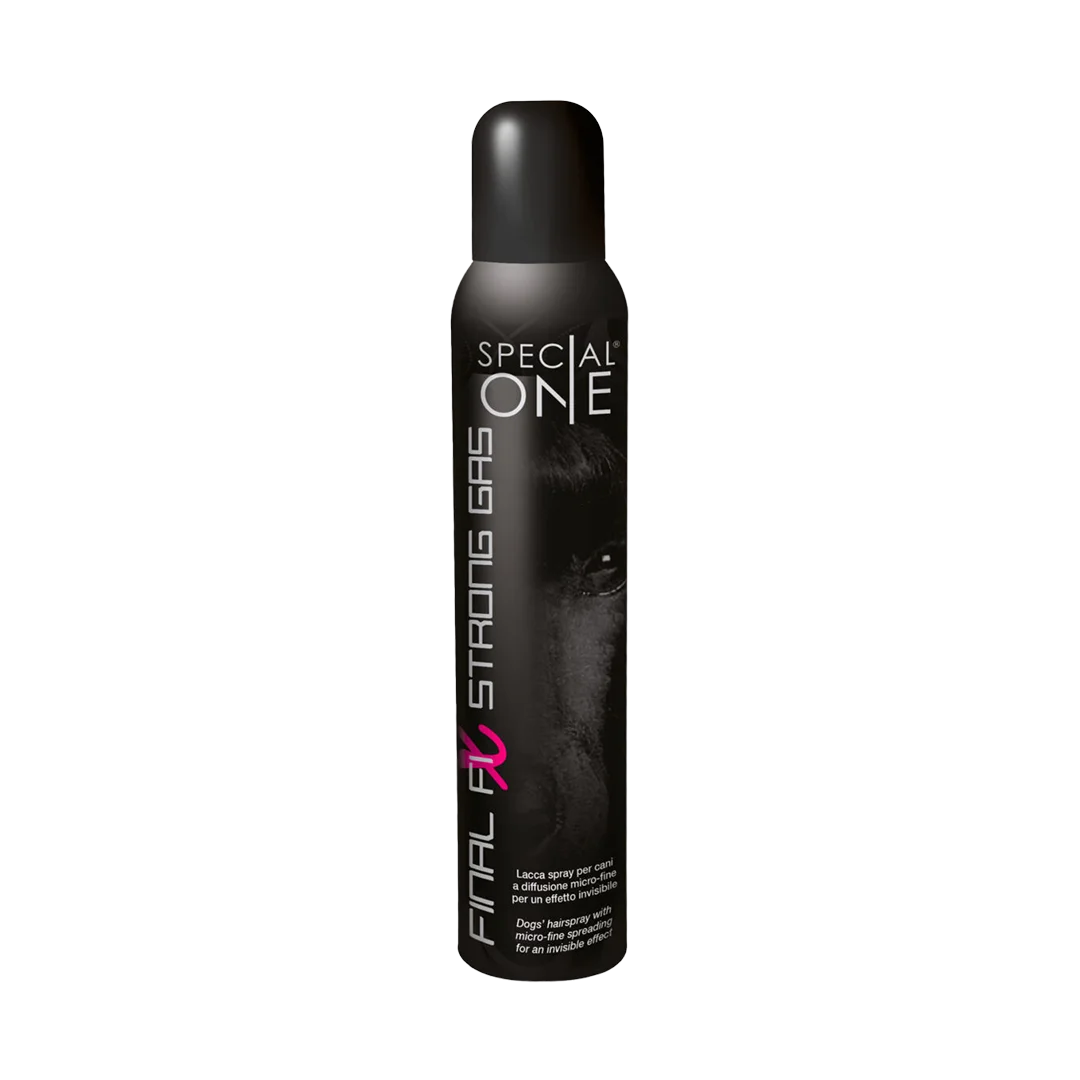 Final Fix Strong Gas 500 ml by Special One Hairspray