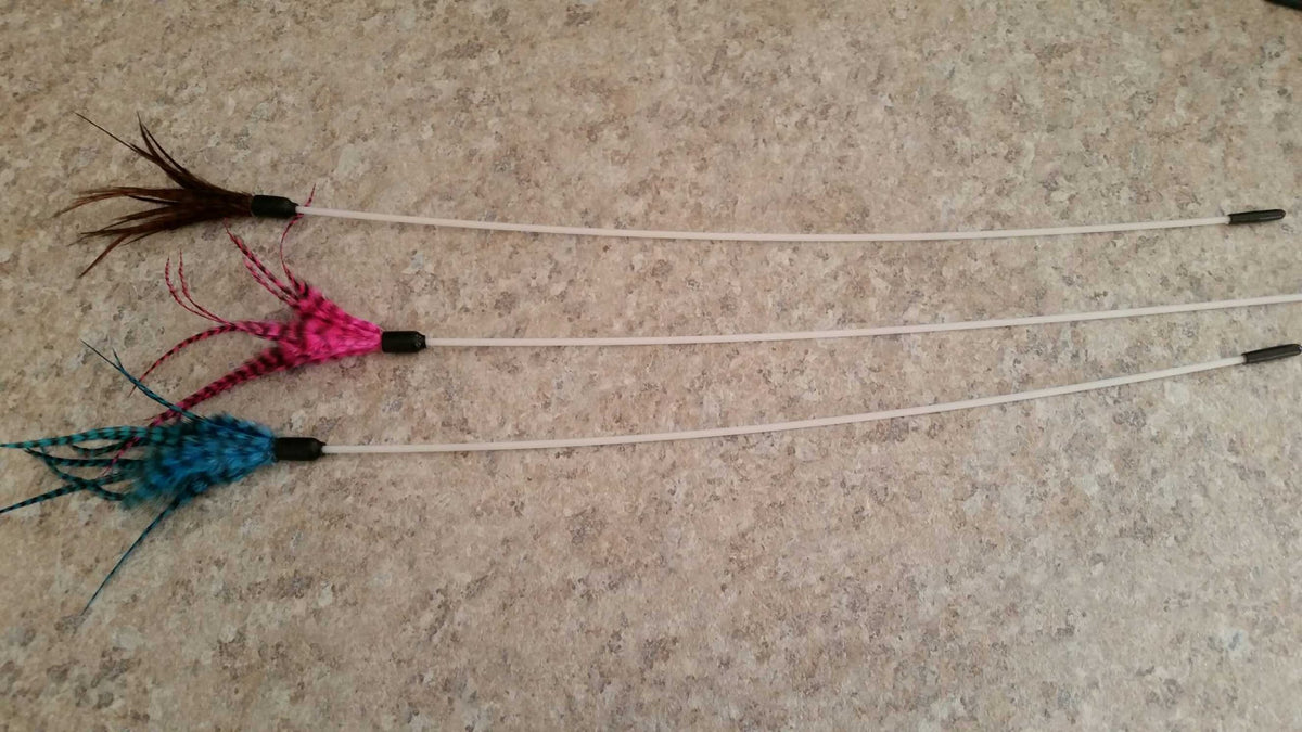 Short Feather Kitten Toy