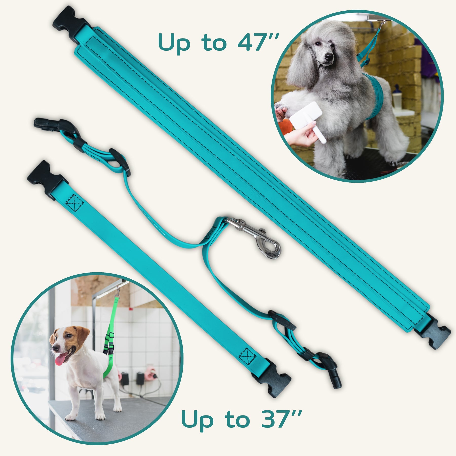 Pets Loop Jelly Pet Belly Loop - Custom Pet Boutique