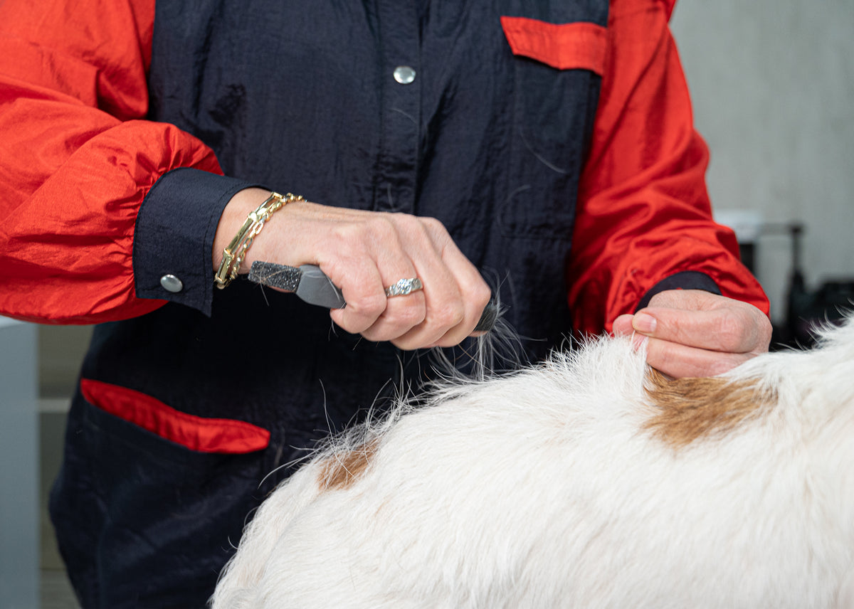 Show Tech Comfy Stripping Stick 13 mm Double Sided