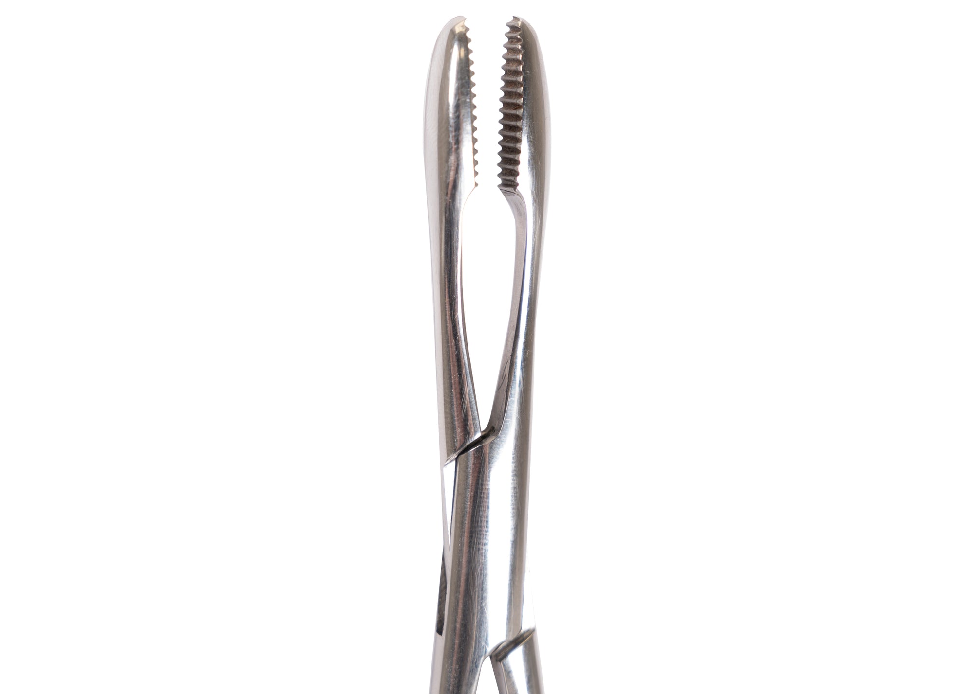 Safety Ear Forceps 14cm