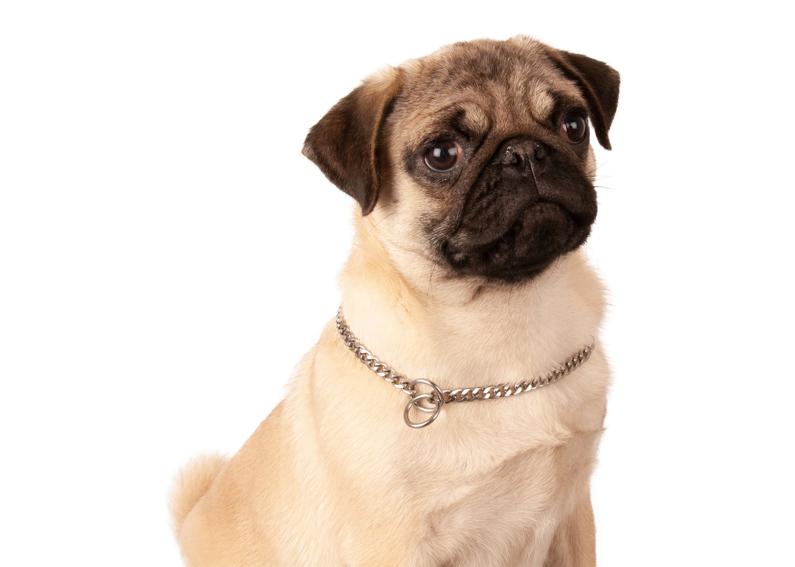 Show Tech+ Flat Link Show Chain Silver Stainless Steel