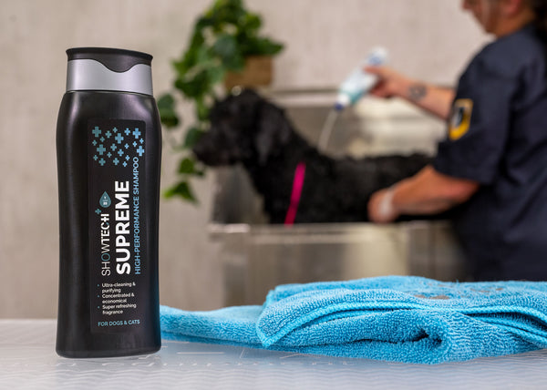 Show Tech+ Rise & Shine Volumizing Shampoo - Custom Pet Boutique