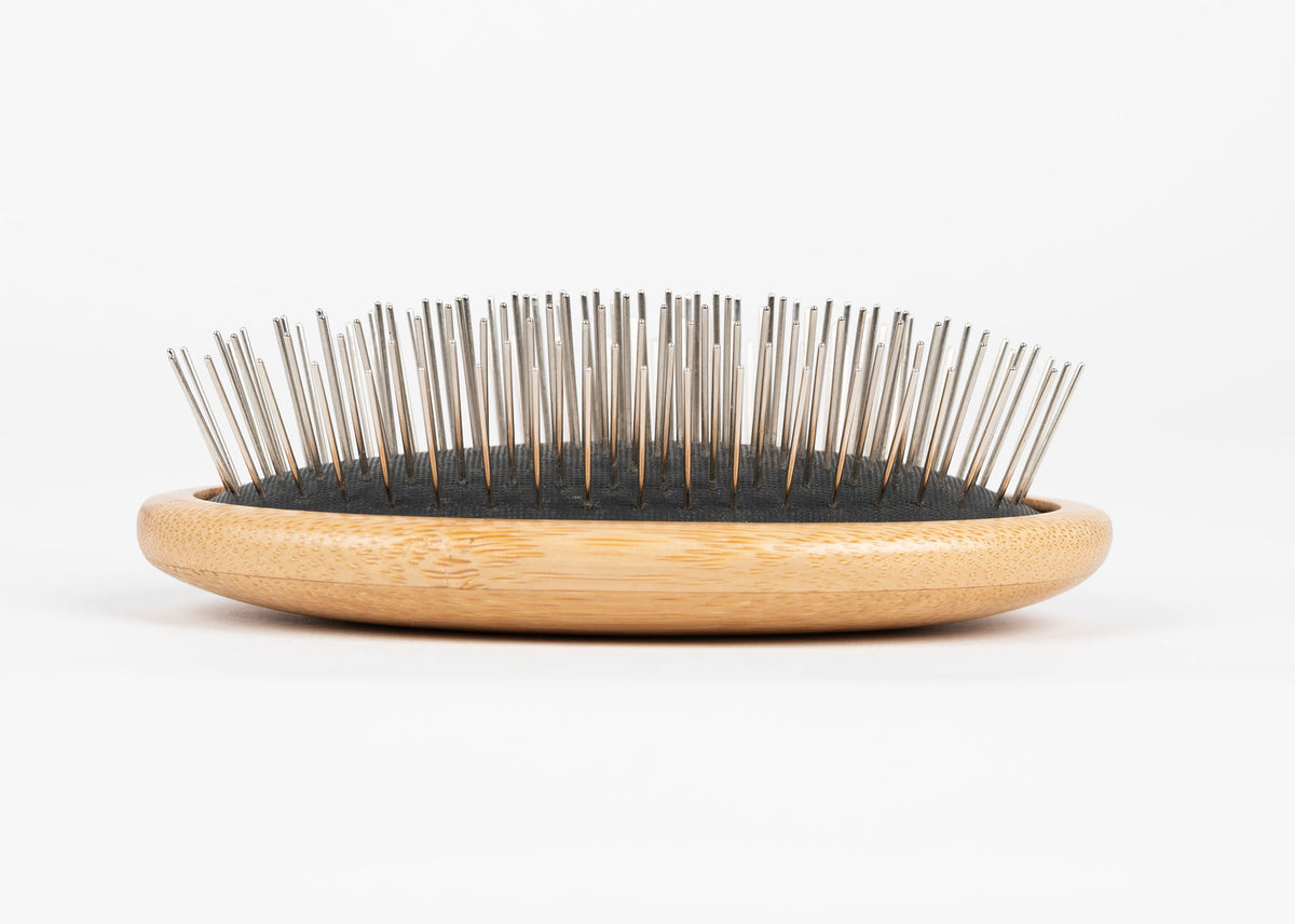 The Sentinel T31 Eco Style Palm Brush