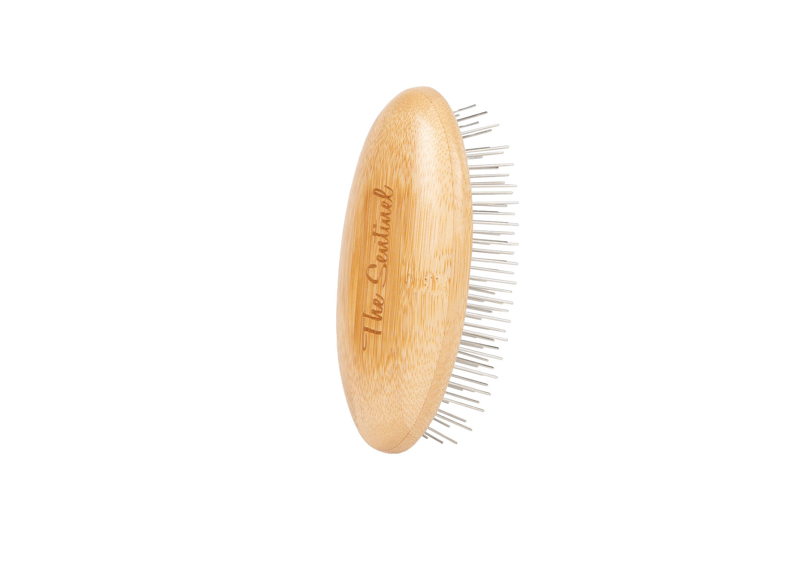 The Sentinel T31 Eco Style Palm Brush