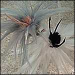 Colored Center Teaser