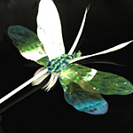 Dragon Fly Teaser