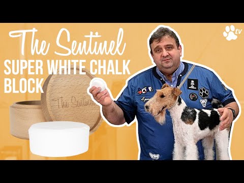 The Sentinel H11 Super White Chalk Block