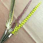 Long Pheasant Feathers