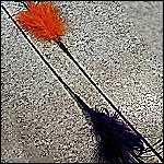 Sparkling Kitty Puff