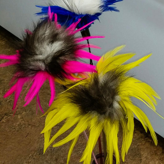 Sunflower Fur Teaser